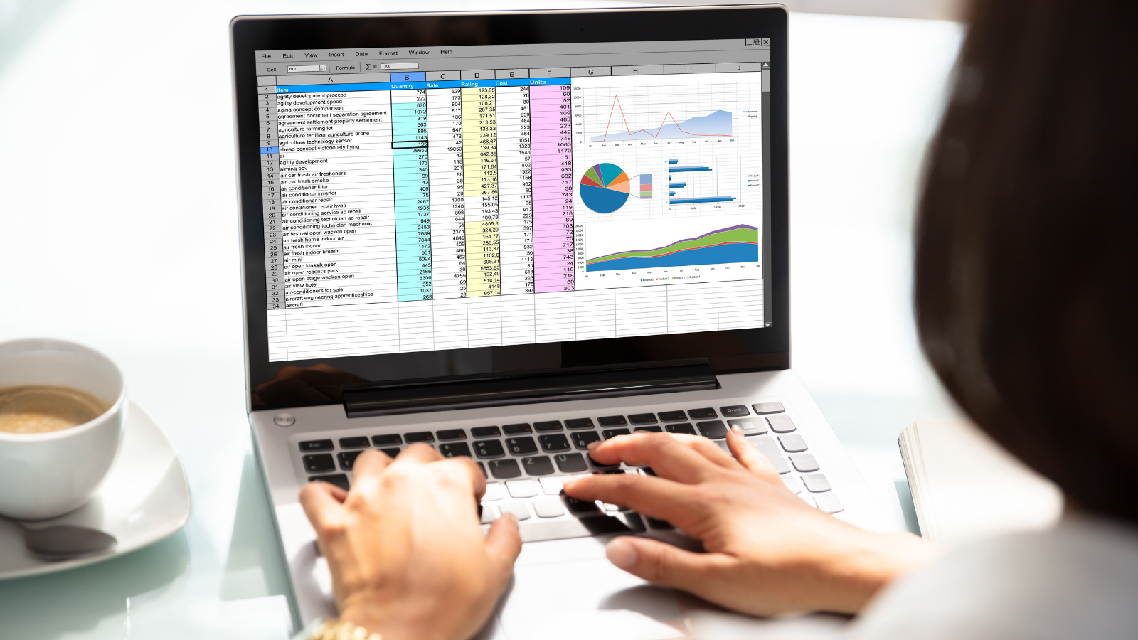 View of laptop screen with spreadsheet and charts