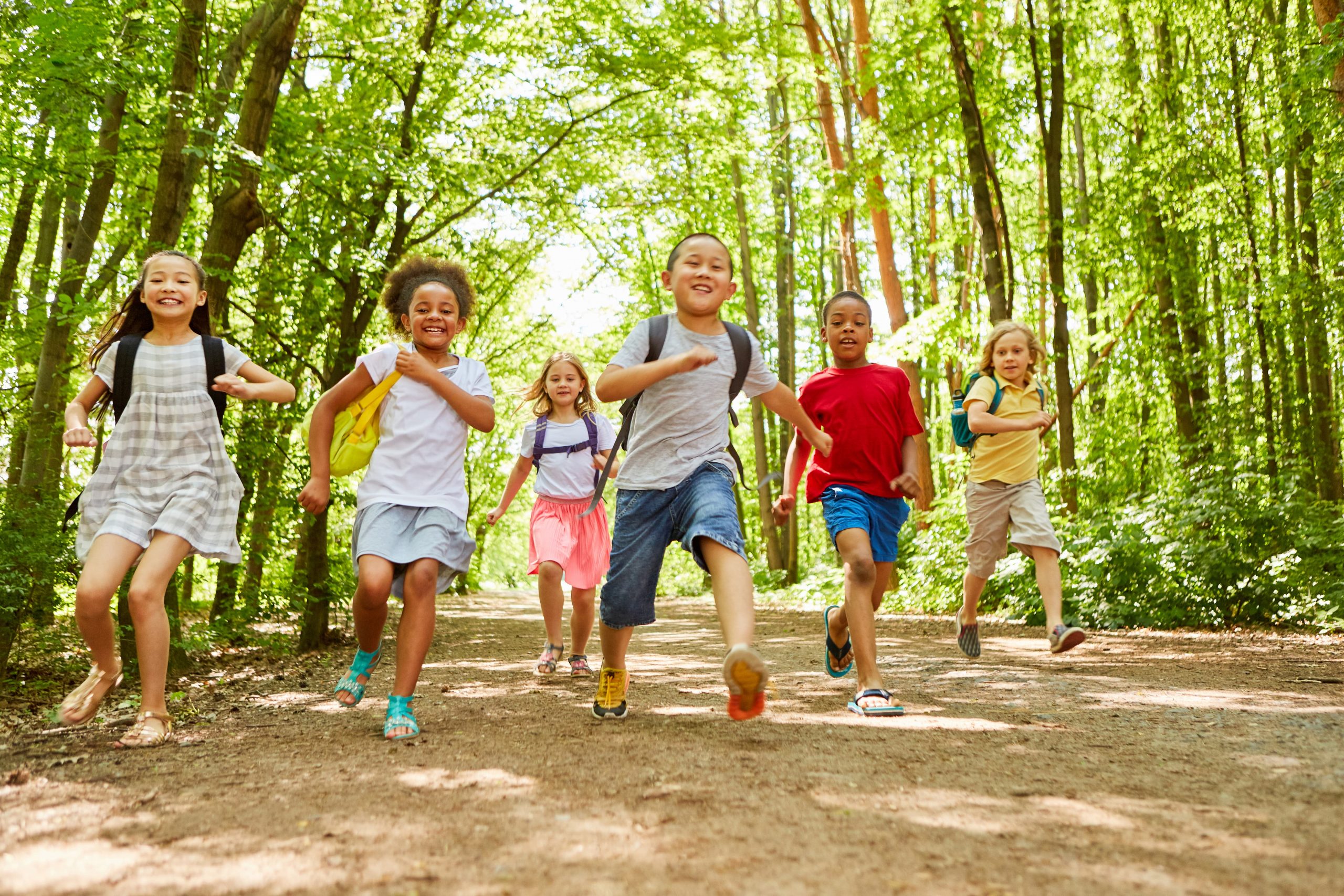 Check Out The 2023 Summer Camps The Edith Lando Virtual Learning Centre Check Out The 2023 Summer Camps The Edith Lando Virtual Learning Centre